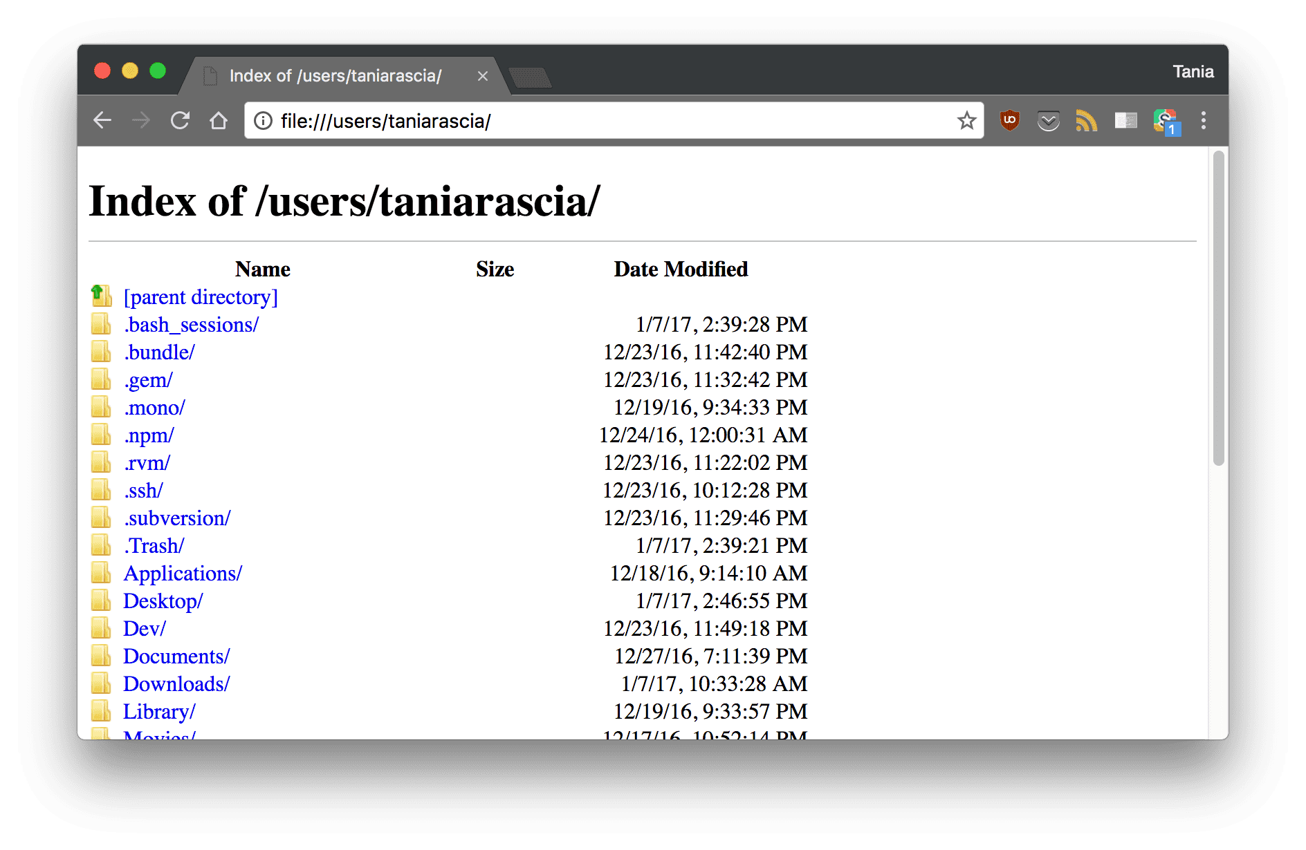 Command Line for Beginners – How to Use the Terminal Like a Pro [Full  Handbook]